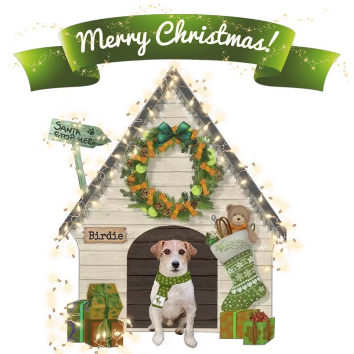 09651c5c d601 4e52 a38b eecccf8cb980 1640343332589