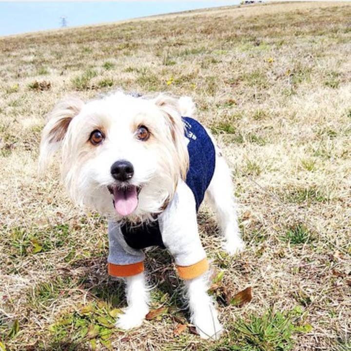 09656aae 536e 4180 9aa3 e1eafb79c81a 1645701974968