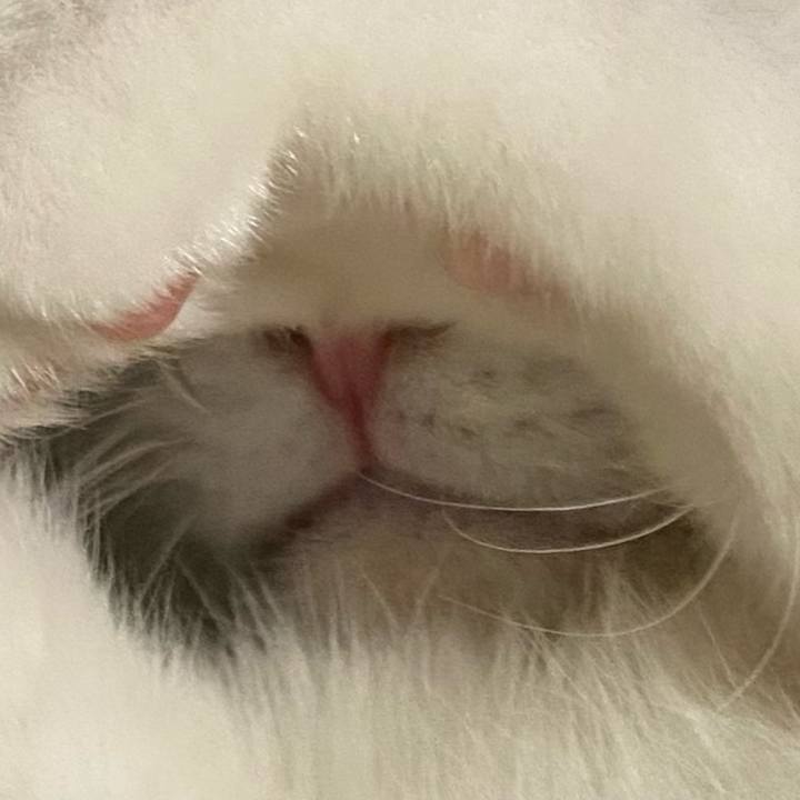 09658a78 1333 458f 8851 d9c6a1507e7b 1577363722536