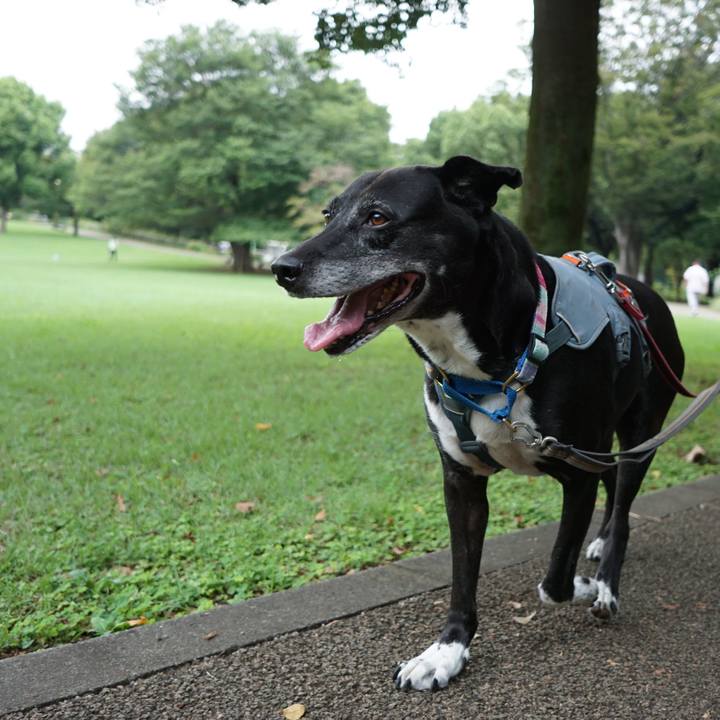 0965cf45 fe11 4d21 a972 070104f0e354 1757980575776