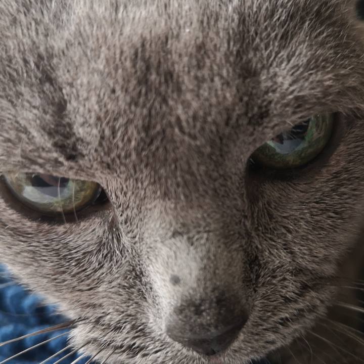 0965da4e 299f 4d31 a621 3a60728de00c 1683956799225