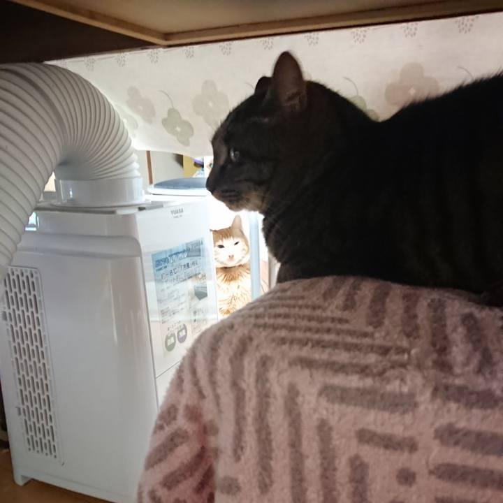 0965ee88 c336 4006 b5b1 76d3e2a5dc3f 1637874589106