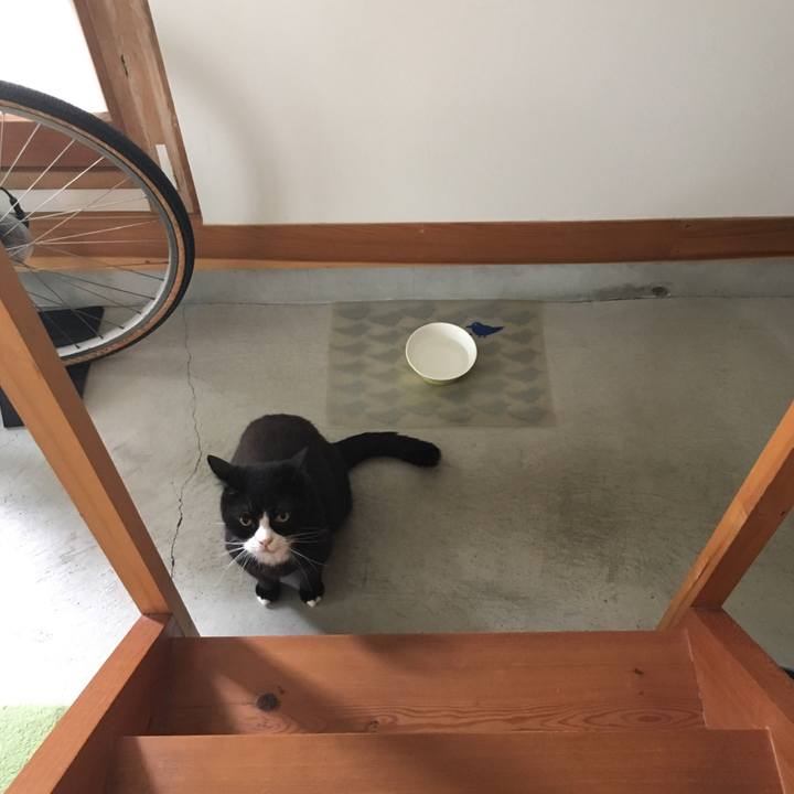 0965f05d 939f 4393 8007 30d0d9c906df 1561508845543