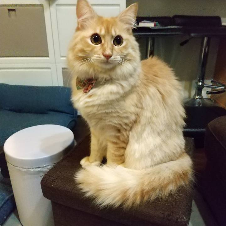 0966527c fd80 475a ac2b a2de8ab35ea9 1638452379422