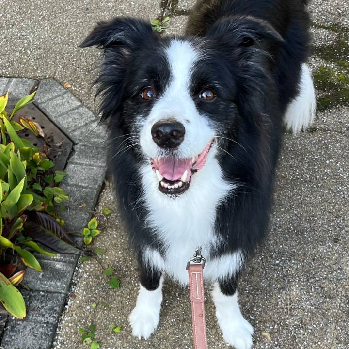 096663c5 4e86 4e99 a324 e9a5a8af26dd 1759274038815