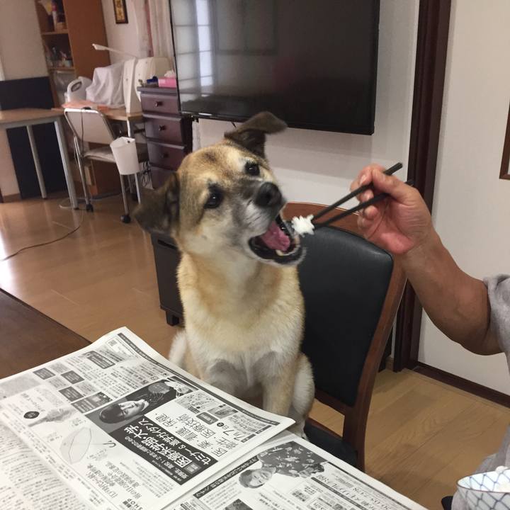 096672aa cc97 4a45 8214 a5170e3a1b8d 1530658670626