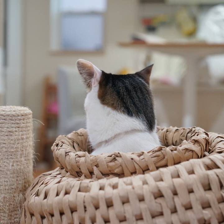 09668bac 2867 4614 9063 be6876e3bf0e 1552001918193