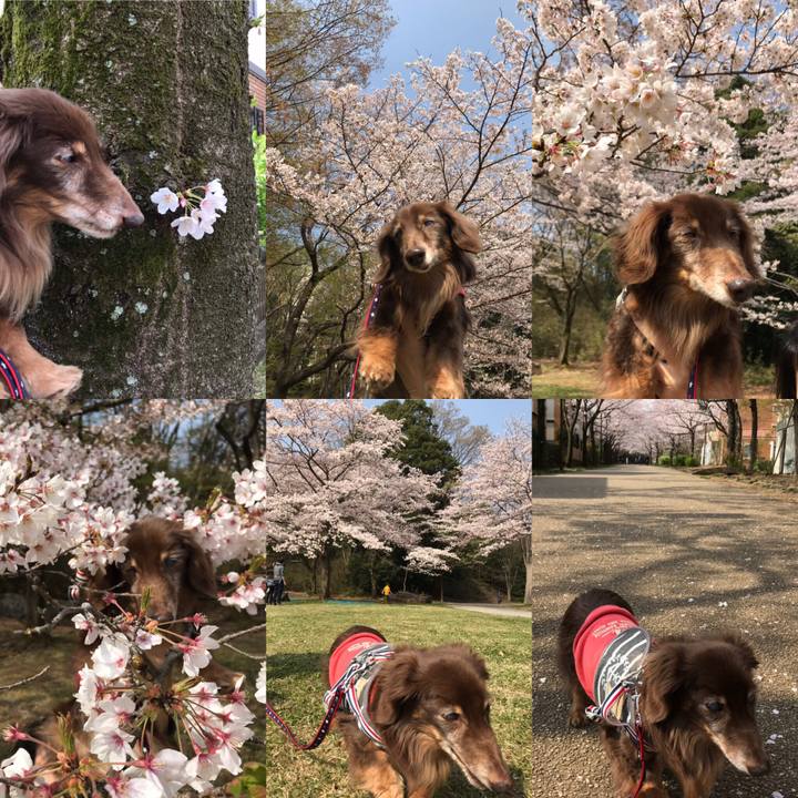 0966ab49 4883 46a8 83b6 235d42605e62 1554616181907