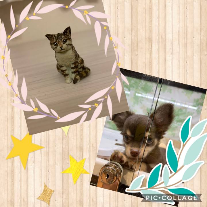 0966bb78 b3f5 4fe1 896a 58013e5042b9 1595070592113