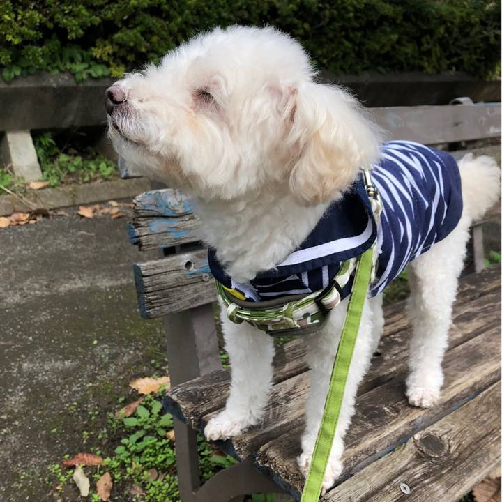 0966d1cc c12a 4688 89c5 58662488d3f7 1540015833851