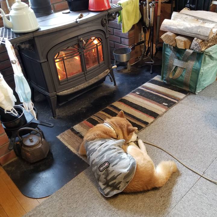 0966f116 45fa 4d87 8bfb 80def142e4ff 1614469695585