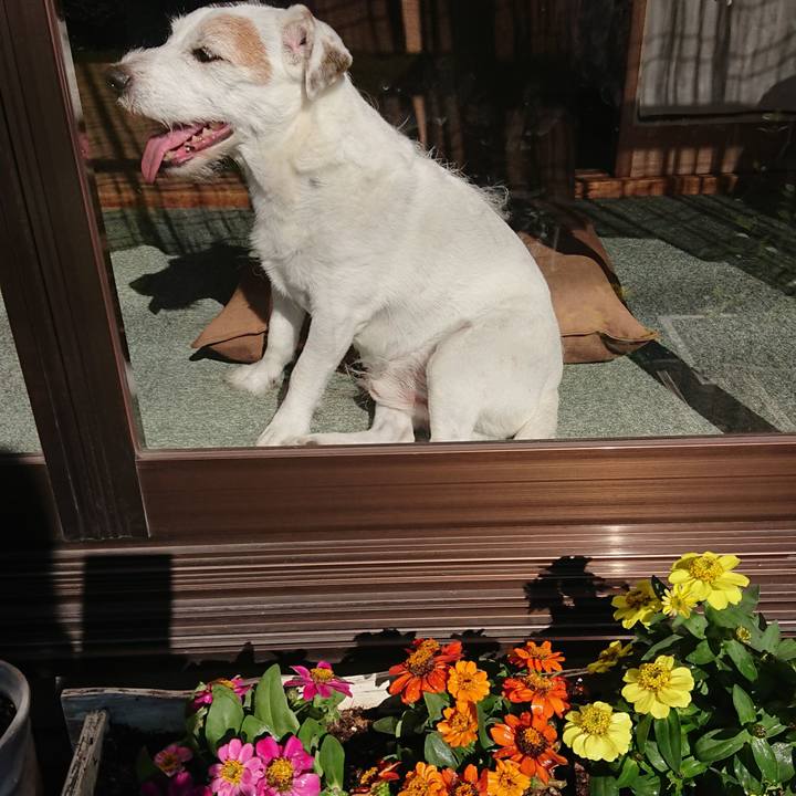 0966faad dd9d 4e02 93ee 24fe46f1f2a6 1571874144464