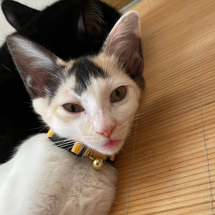 09672f9b 6bee 47ad aa28 7c8ac0eb422b 1659131408753