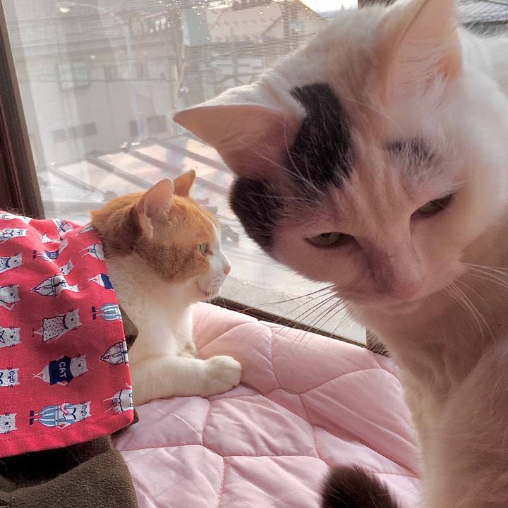 09673092 ed07 4c5b 8857 56ce9f02f095 1580090558808