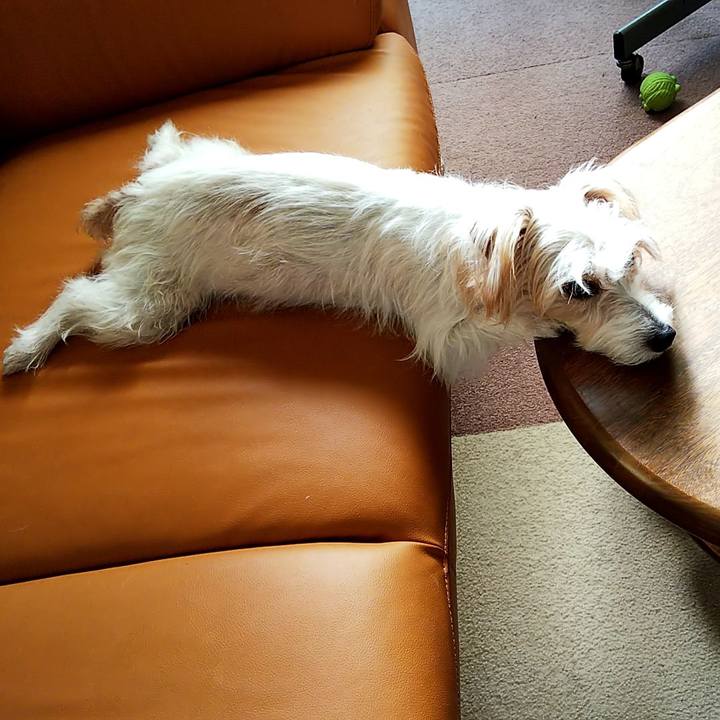 09675791 554b 41ca a5f3 71d9f473051c 1546089787698