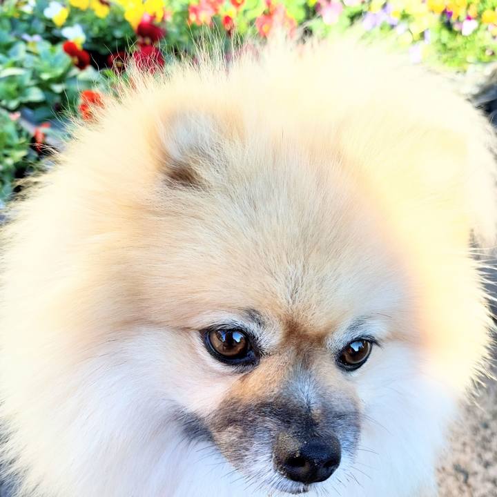 096779b1 af12 411f a20e 14b3b8bc42ef 1700354855136