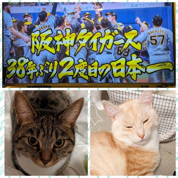 09677eab e4cf 4af6 afc2 f0d689c79ffc 1699189200129