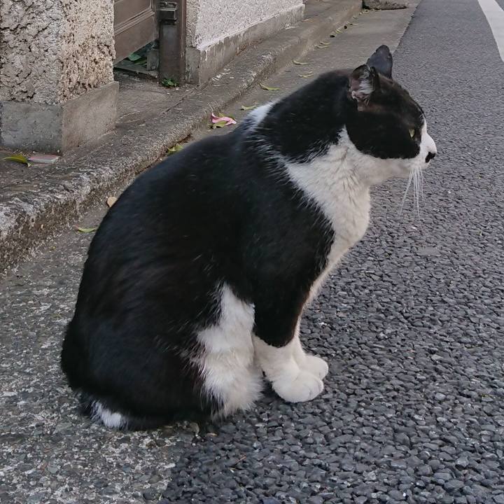 09678882 b4a8 4d3c 8302 84db28782610 1552804087963