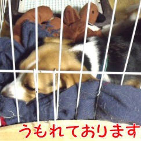 0967bdf0 a958 488c bc14 1e8fe70c706a 1688084034891