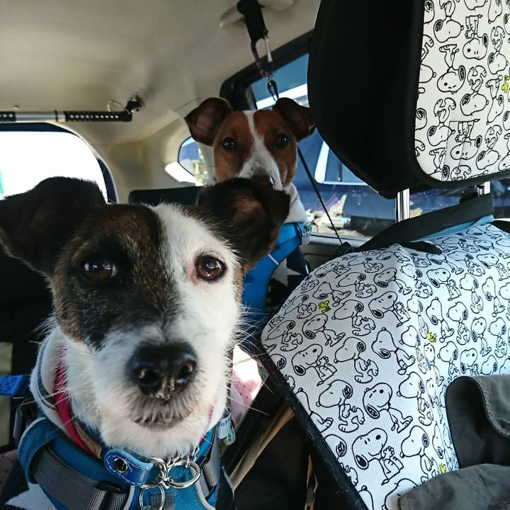 0967c47f 1f95 4b29 b572 0a09ae225c12 1553385883551