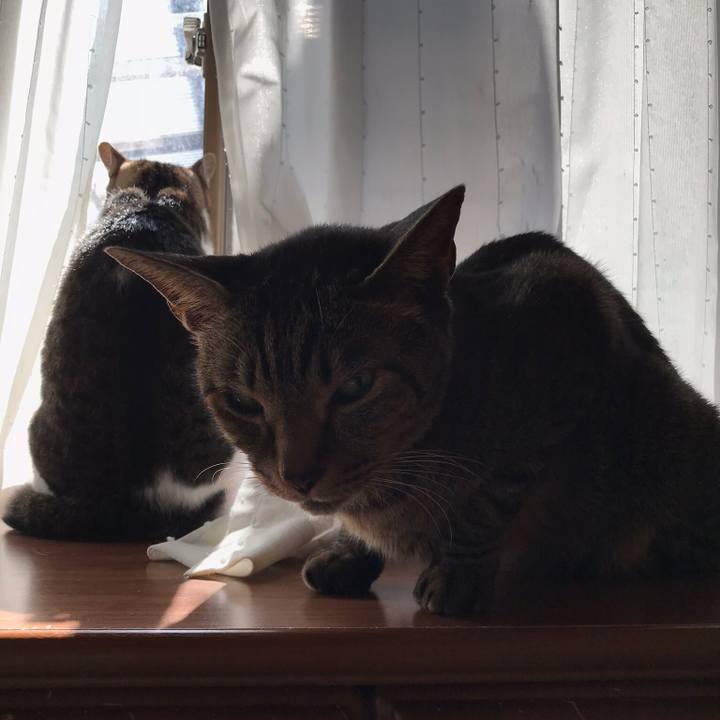 0967f7ef 5ab6 486b ae13 114d5432dcf0 1519780722983