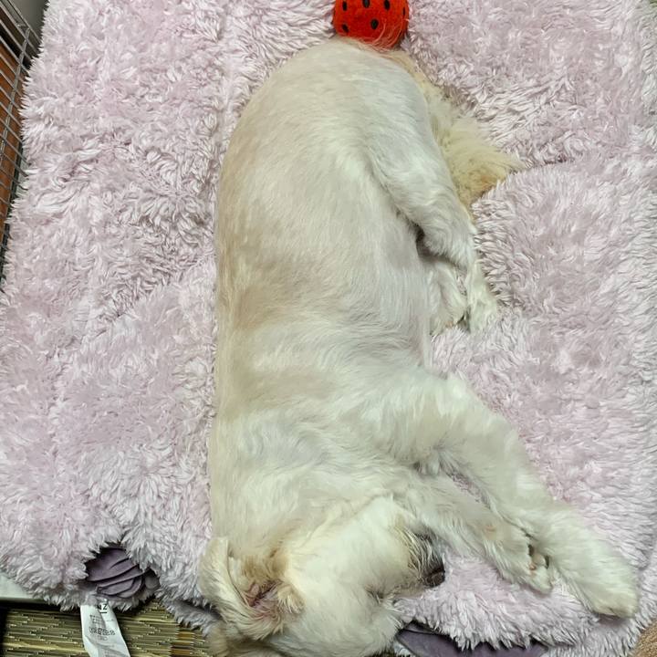 0967fad2 da10 4a53 852f c4a87b3b3c57 1571829996317