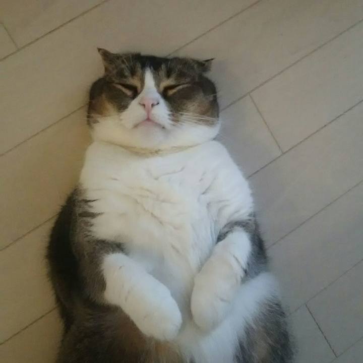 09683315 613c 4929 92c9 c9fe79420758 1525304242082