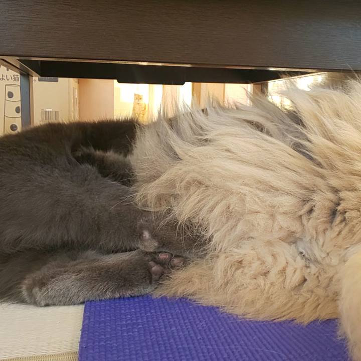 09686aa8 b3c1 4690 90de 12668b150d2d 1581412450635