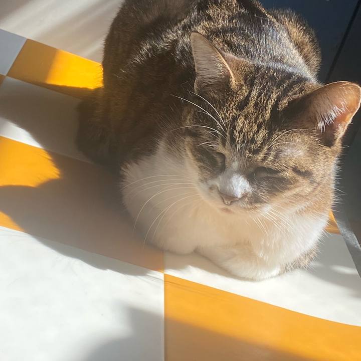 0968c08f 9e1a 418f 9958 9df15622ea70 1710041009951