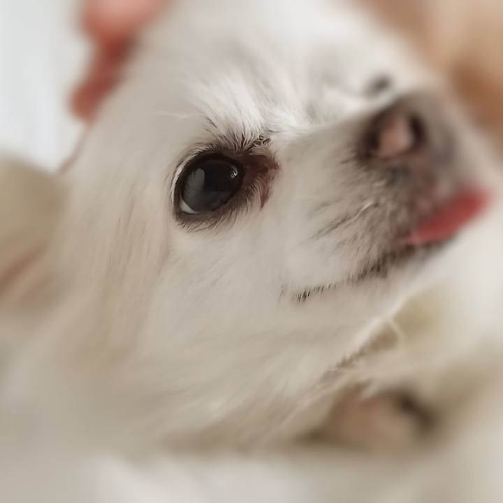 0968c64a d6ba 4e57 bd55 c0563b034bcb 1659932125723