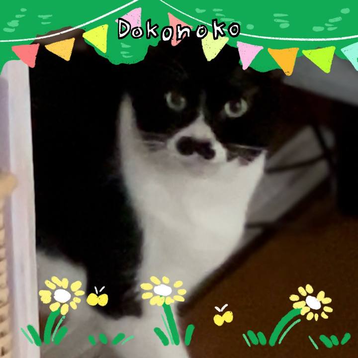 0968f4ba 806c 4623 9acb 392bf7c5bc7b 1711051170631