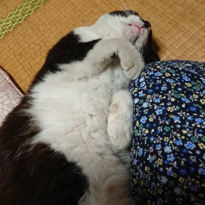 0968fde3 41ab 4500 8968 f0dc520cbf59 1653642274860