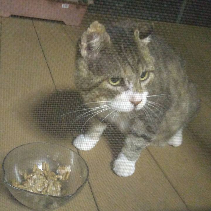 09691c13 664c 4294 983f 9326d6ea3b21 1760662997882