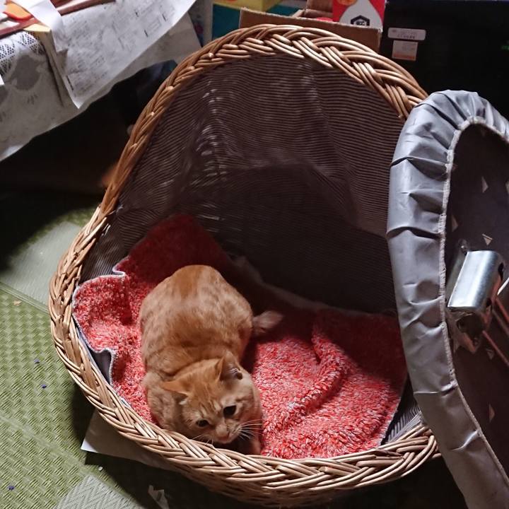 0969aa95 8502 4f01 b861 c3db45039269 1636279163144