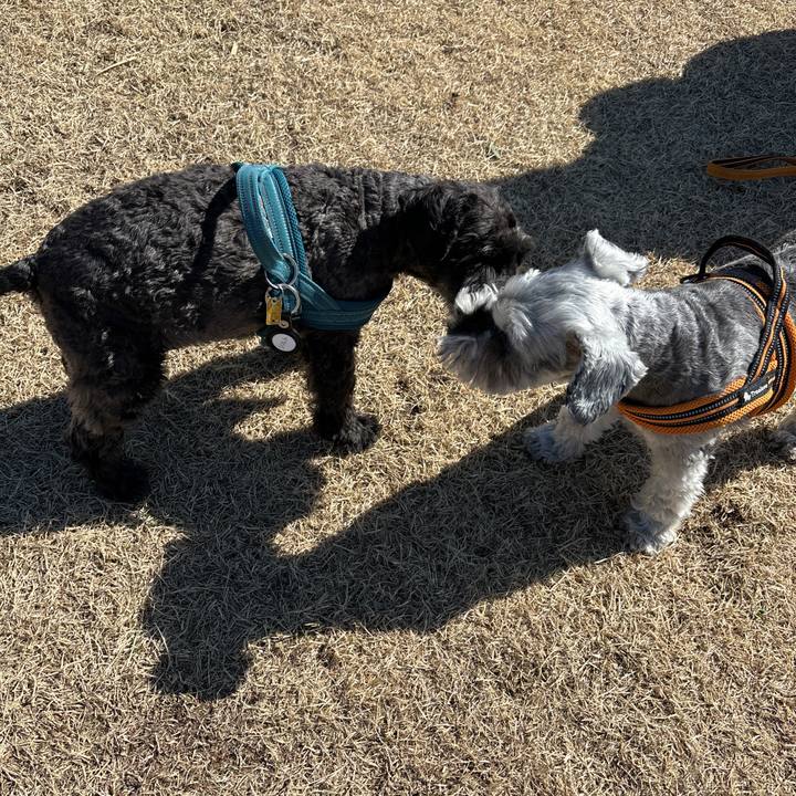 0969df9e 36fd 4a31 9dae a77fc1505c12 1709440553435