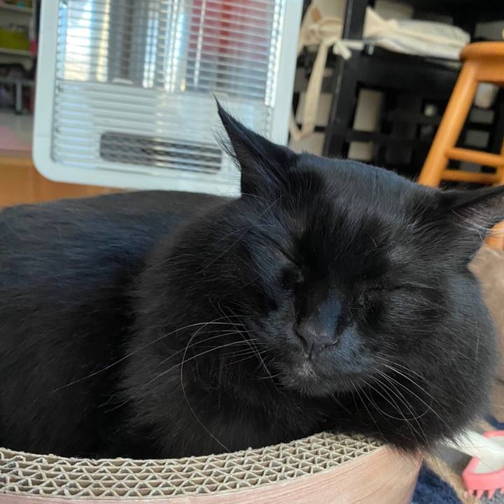 0969e687 fc81 431f b3b3 72ba608d205c 1607036872350