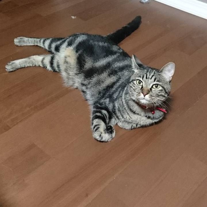 0969e8f3 5613 46be b2cf c85adb53ce4f 1566794269087