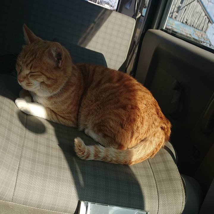 096a5ec1 8503 4ae4 afd2 02c678993ec7 1585979946707