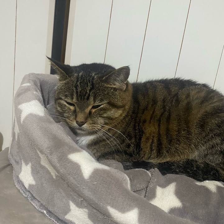 096a61ef 0767 4917 bcc8 c5d9602004f1 1718974152004