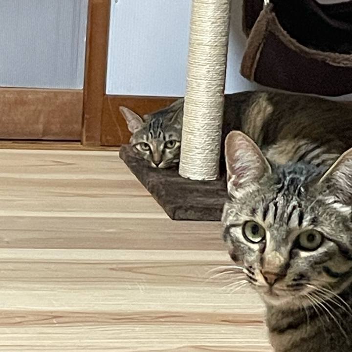 096aa1de 846f 4679 98b0 f9c711d85a00 1756292431127