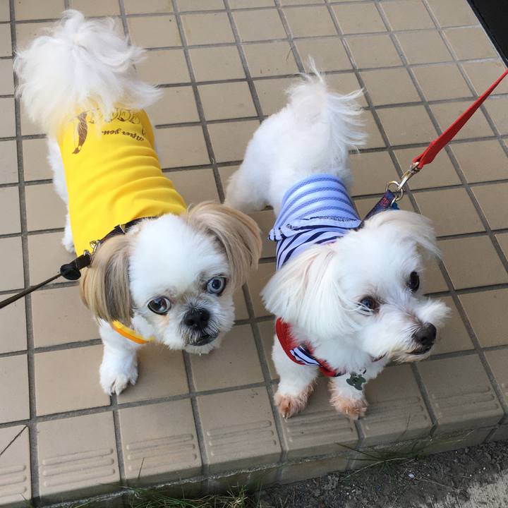 096abe87 2525 44a6 9b27 9683efeebb09 1597187679952