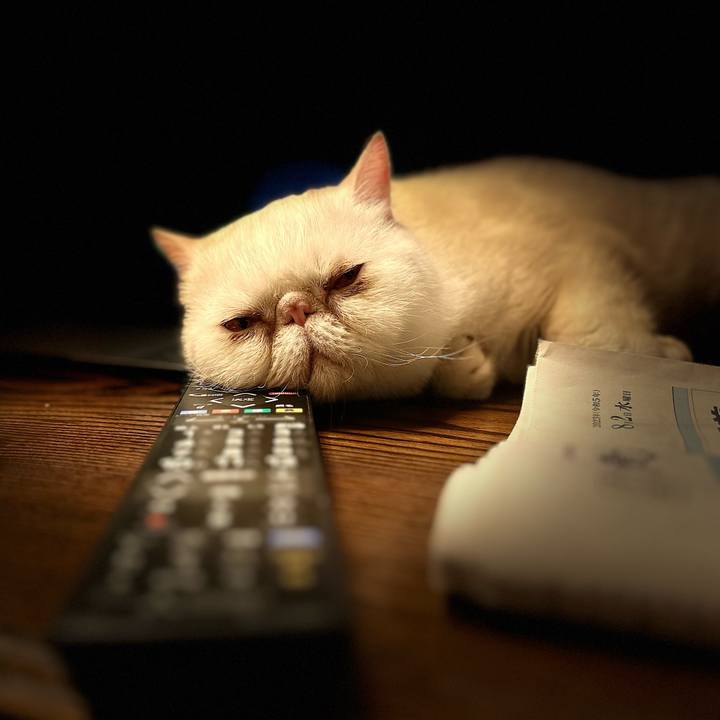 096ac122 3599 424f 9808 6dcb16d085ba 1691019523386