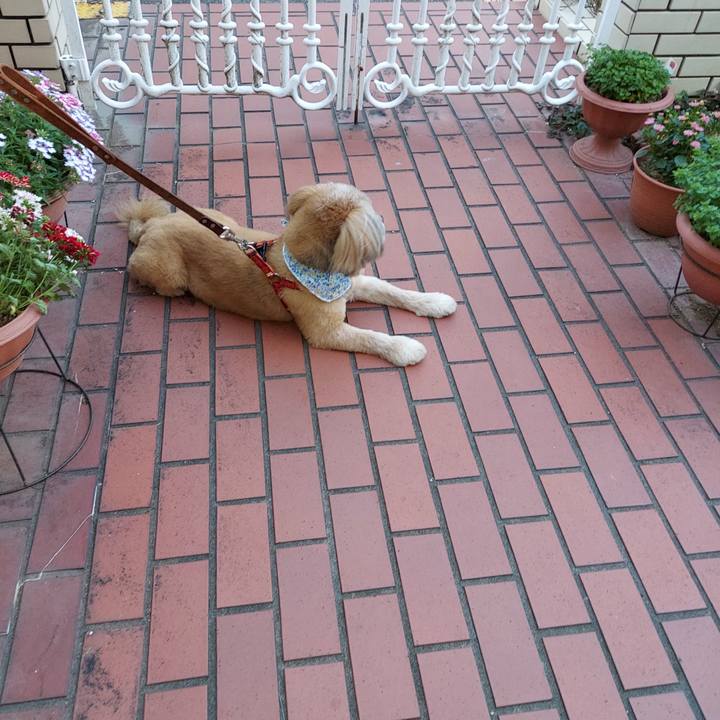 096ac955 8f23 4c5e a82a 5a142183be91 1622547848869