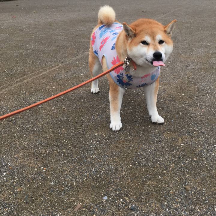 096ad42e 4e10 4bdb a6d7 1d21bd9b1a42 1566982607398