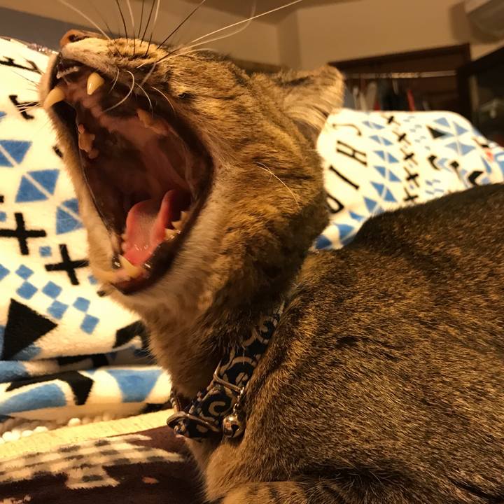 096b0510 41d5 402a 9d4f d13206f35e3f 1546269943947