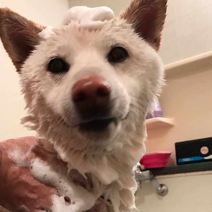 096b4e97 69fa 412d 84f0 7b0785aa0517 1516433526918