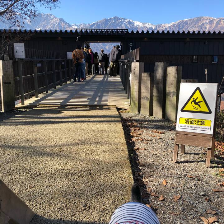 096b5f86 b28f 4867 9e46 916131b7047e 1668255175797