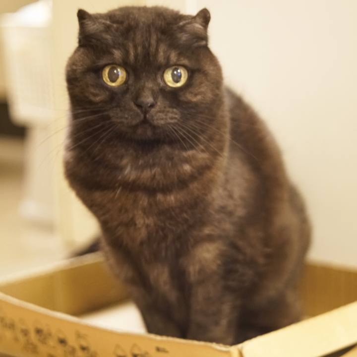 096b663f 9ed5 4d87 af9a 5ed5fa80ba31 1614688560681