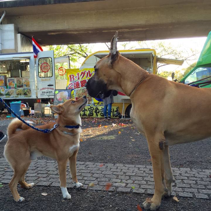 096b8448 3eef 4172 abe9 a26bd744713b 1588322861211