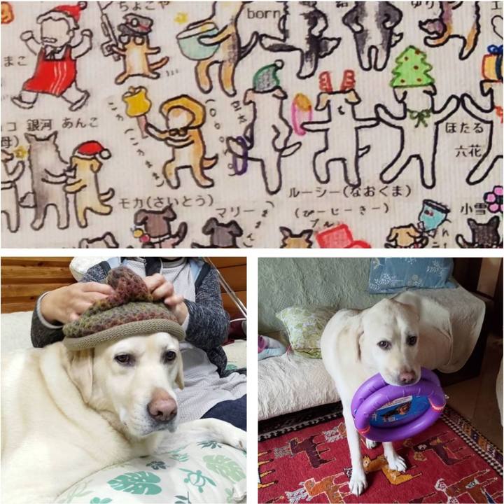 096bd15c 3286 428b b100 fa37d0df6f28 1672294006826